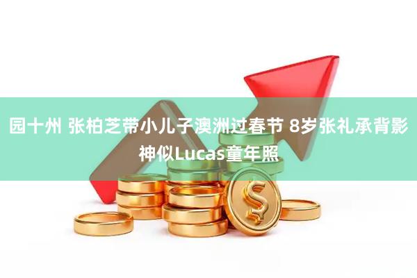 园十州 张柏芝带小儿子澳洲过春节 8岁张礼承背影神似Lucas童年照